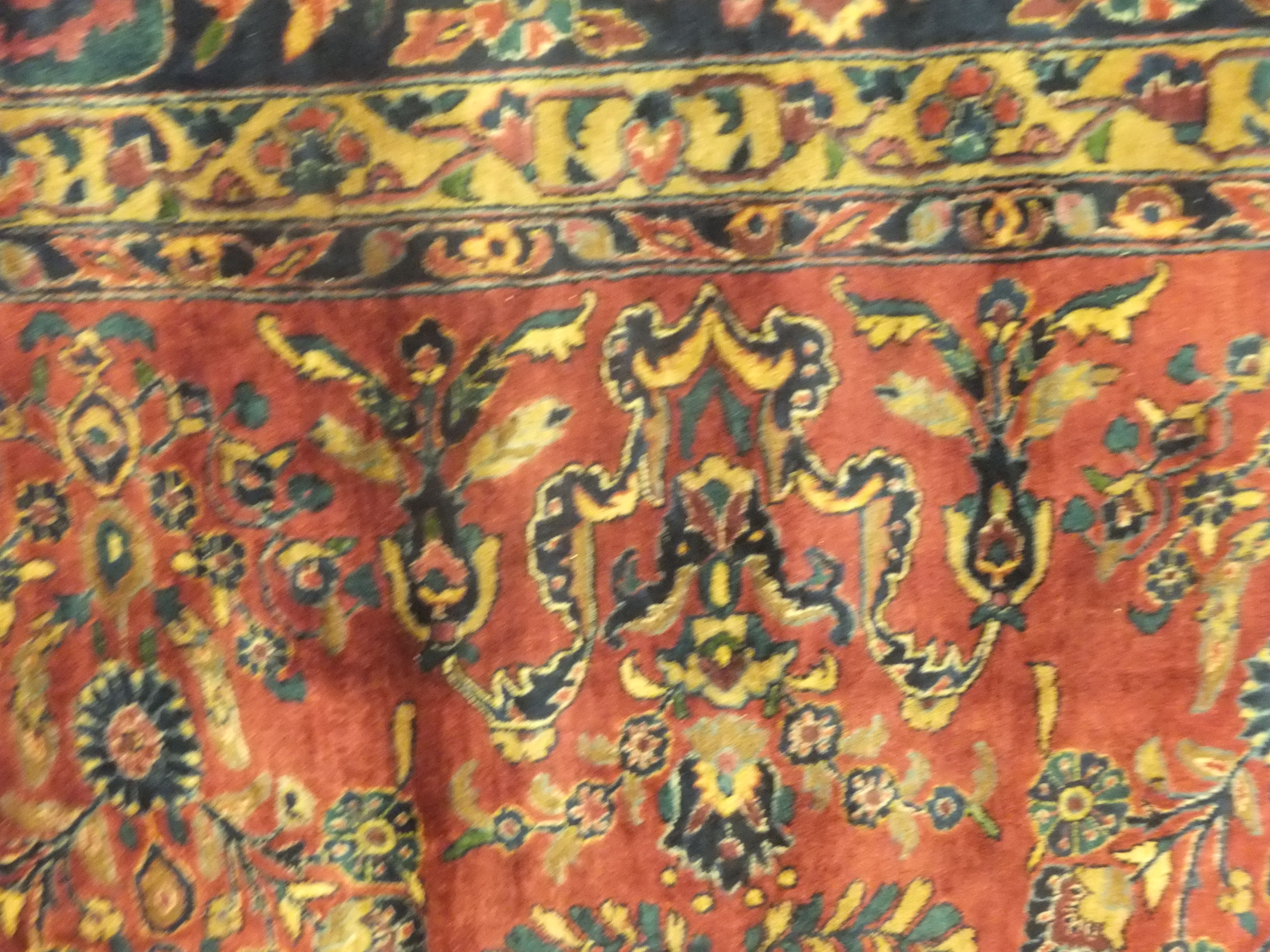 Rug image